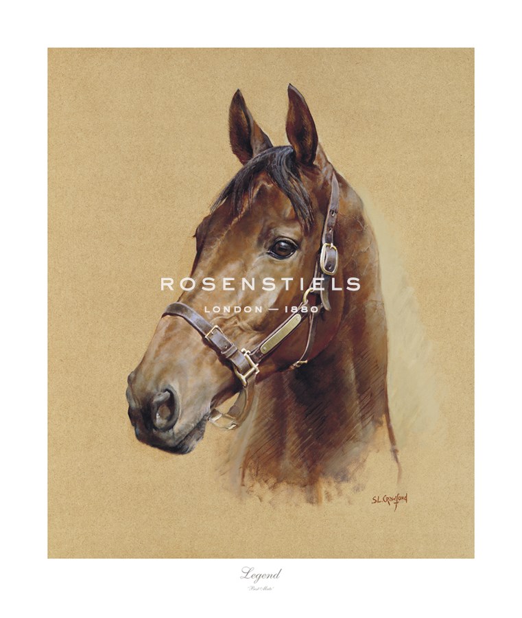 Susan Crawford Hand Numbered Limited Edition Print on Paper :"Legend (Best Mate)"