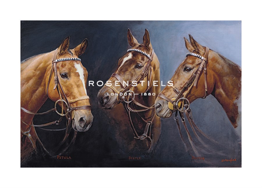 Susan Crawford Hand Numbered Limited Edition Print on Paper :"Petula Beetle and Justice"