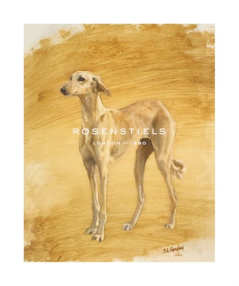 Susan Crawford Hand Numbered Limited Edition Print on Paper :"Whippet Study"