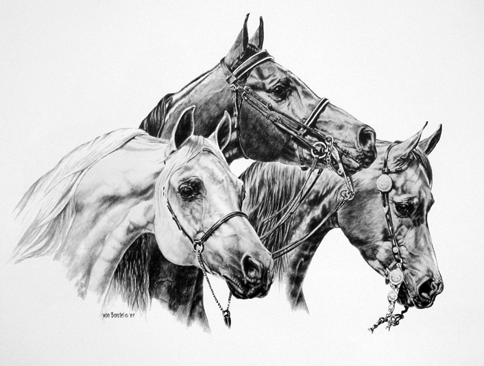 Susan von Borstel Handsigned and Numbered Limited Edition: "Arabian Heads"