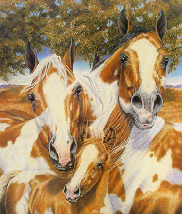 Susan von Borstel Handsigned and Numbered Limited Edition: "Unity 2"