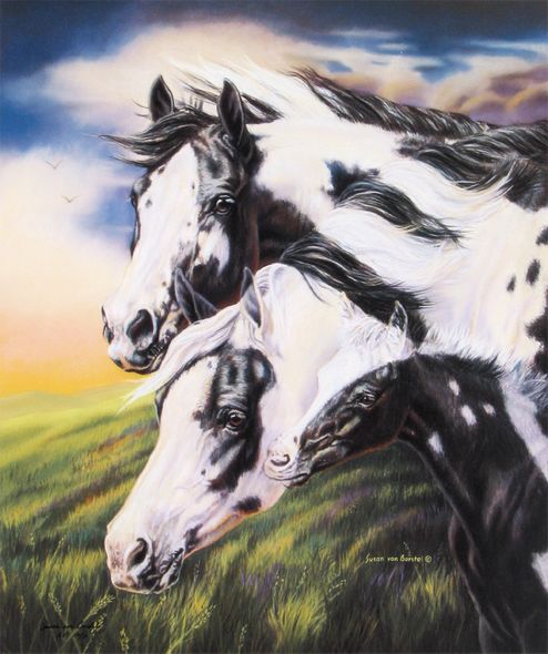 Susan von Borstel Handsigned and Numbered Limited Edition: "Unity 3"