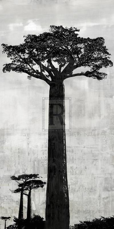 Tania Bello 24 x 48 in. Open Giclee Canvas:"Manakara - Dusk"