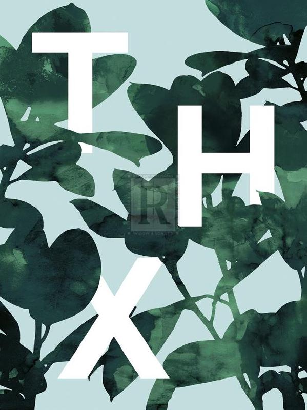 Tania Bello 30 x 40 in. Open Giclee Canvas:"Ficus Lutea - Thx"