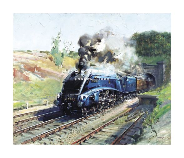 Terence Cuneo Hand Numbered Limited Edition Print on Paper :"Mallard"