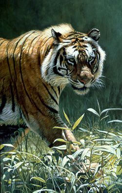 TERRY ISAAC 11X7 Secondary Market Art: "CATWALK TIGER"