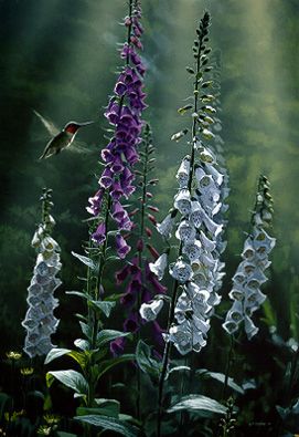 TERRY ISAAC 18X12 Secondary Market Art: "MIDSUMMER DREAM"
