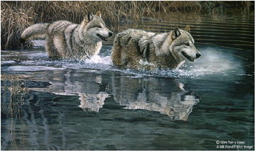 TERRY ISAAC 19X32 Secondary Market Art: "CROSSING WOLVES"