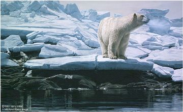 TERRY ISAAC 20X32 Secondary Market Art: "CUMBERLAND SOUND"