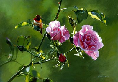 TERRY ISAAC 8X12 Secondary Market Art: "SHADES SUMMER RUFOUS"