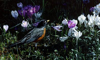 TERRY ISAAC 9X15 Secondary Market Art: "SIGNS OF SPRING"