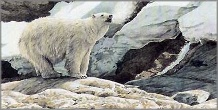 Terry Isaac Artist Signed and Numbered Original Lithograph:"Polar Bear – North American Portfolio"