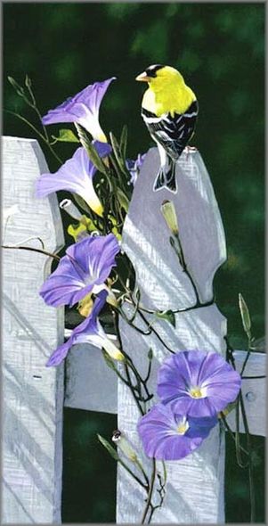 Terry Isaac Handsigned and Numbered Limited Edition Print:"Morning Glories American Goldfinch"