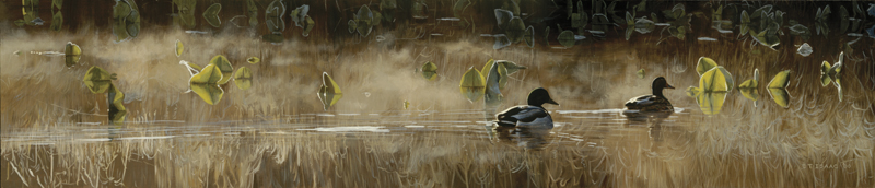 Terry Isaac Handsigned and Numbered Limited Edition Giclee on Paper:"Mallard Morning"