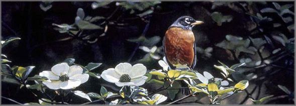 Terry Isaac Handsigned and Numbered Limited Edition Print:"Backyard Robin"