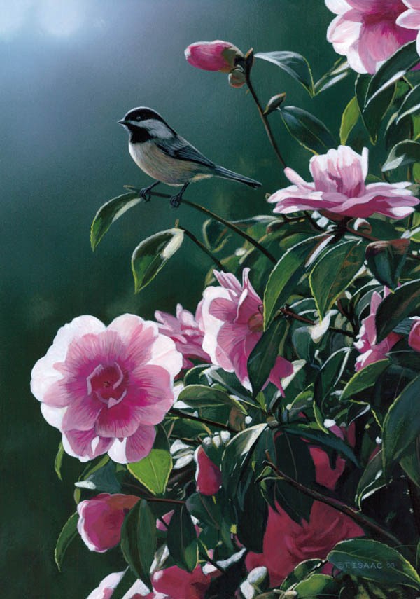 Terry Isaac Handsigned and Numbered Limted Edition Canvas Giclee:"In the Limelight - Chickadee"