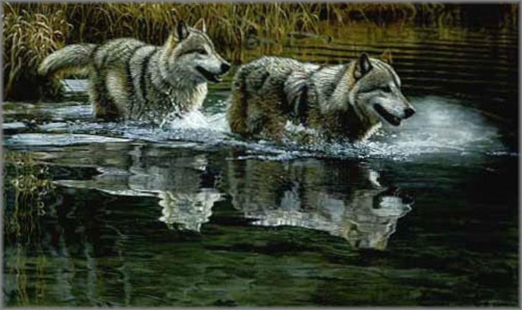 Terry Isaac Handsigned & Numbered Limited Edition Print:"Crossing Wolves"