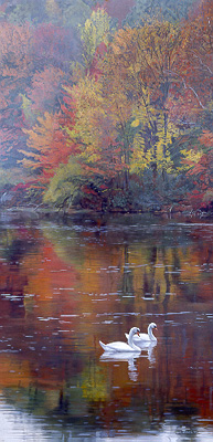 Terry Isaac Limited Edition Print:"Autumn Reflections"