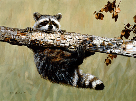 Terry Isaac Limited Edition Print:"Chin-Up"
