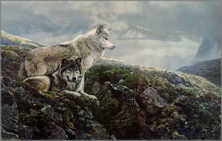 Terry Isaac Limited Edition Print: "Above Timberline Gray Wolves"