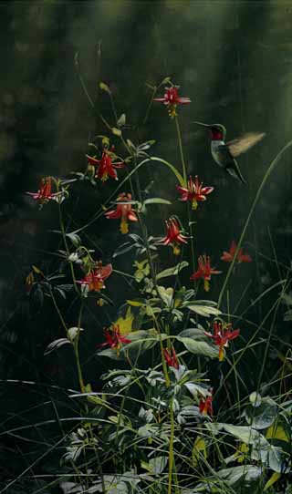 Terry Isaac Limited Edition Print:"Grace Notes - Ruby-Throated Hummingbird"