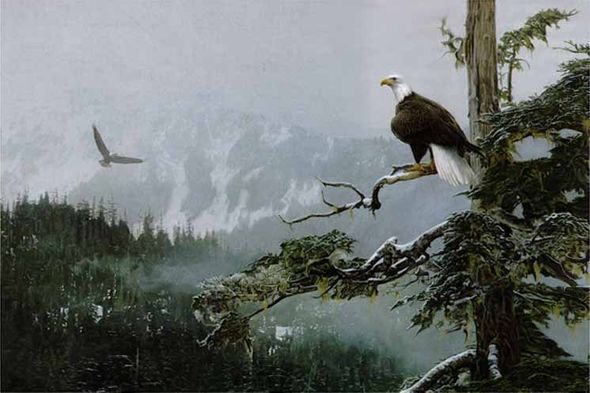 Terry Isaac Limited Edition Print: "On Eagles Wings"