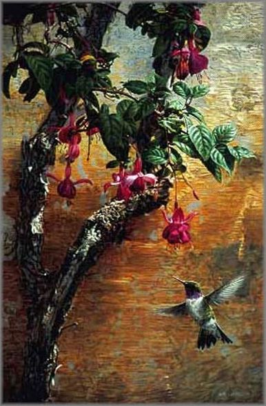 Terry Isaac Limited Edition Print:"Mission Wall Black Chinned Hummingbird"