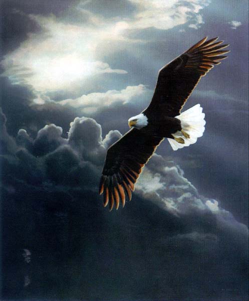 Terry Isaac Limited Edition Print:"Out of The Storm "