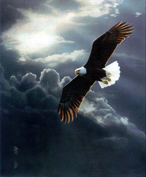 Terry Isaac Limited Edition Print:"Out of The Storm "
