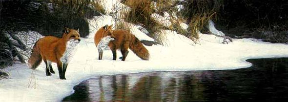 Terry Isaac Limited Edition Print: "Shore Patrol-Red Foxes"