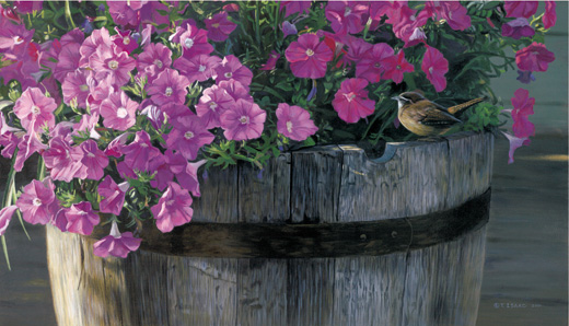 Terry Isaac Limited Edition Artist Proof Print:"Southern Comfort - Carolina Wren "