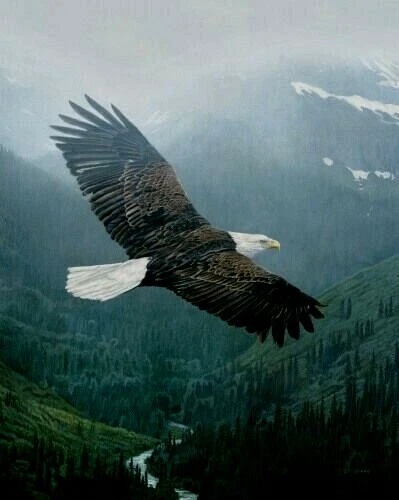Terry Isaac Signed and Numbered Limited Edition   Lithograph: "Into The Mist"