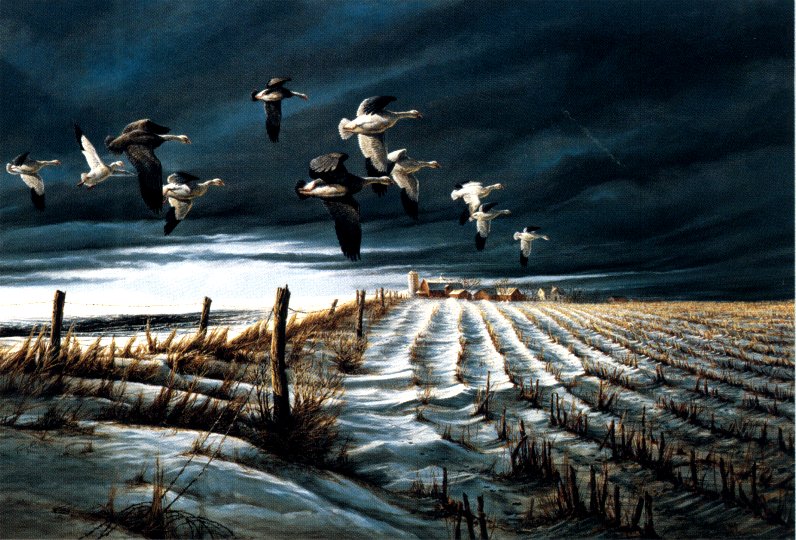 Terry Redlin 25th Anniversary Silver Medallion Edition Print:"Winter Snows"