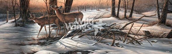 Terry Redlin Horizon Open Edition Print: "Browsing - Whitetail Deer"