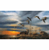 Terry Redlin Museum Edition Oversize Canvas:"Silent Sunset"