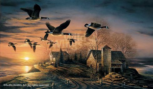 Terry Redlin Museum Edition Oversize Canvas:"Sundown - Canada Geese"