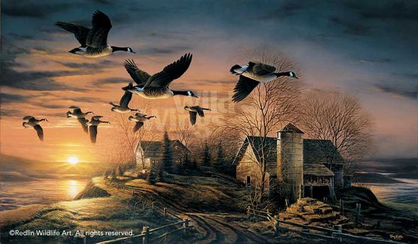 Terry Redlin Museum Edition Oversize Canvas:"Sundown - Canada Geese"