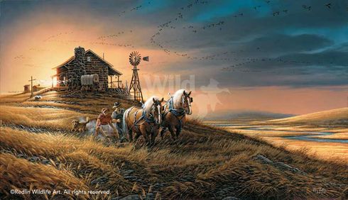 Terry Redlin Open Edition Encore Canvas :"For Amber Waves of Grain - Encore Canvas"