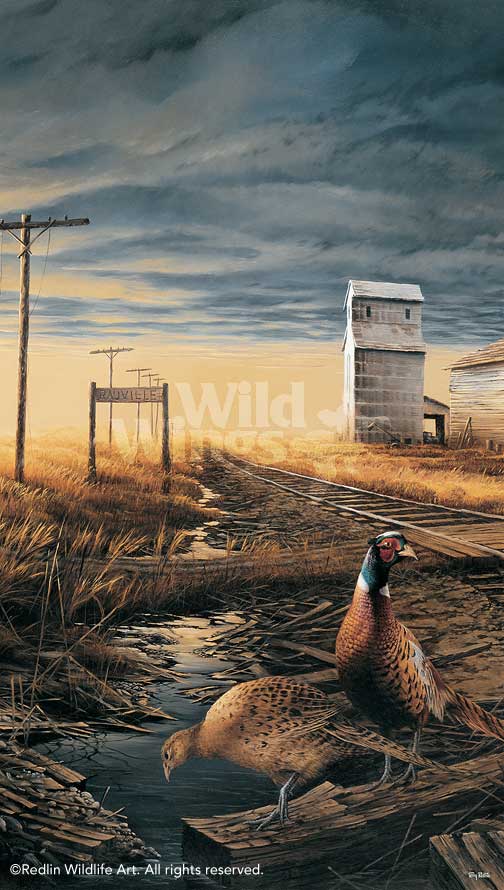 Terry Redlin Open Edition: "Prairie Skyline Pinnacle Print"