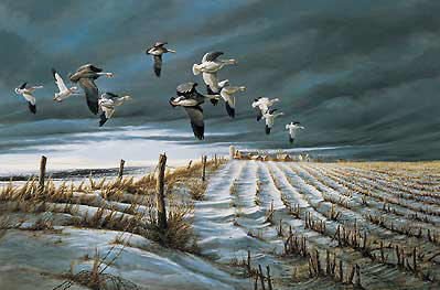 Terry Redlin Signed by the Artist Limited Edition Paper Lithograph:"Winter Snows"