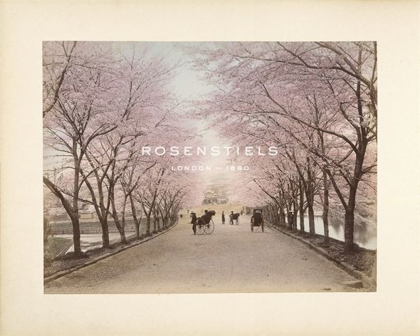 The Kyoto Collection Hand Numbered Limited Edition Print on Paper :"Akasaka, Tokyo"