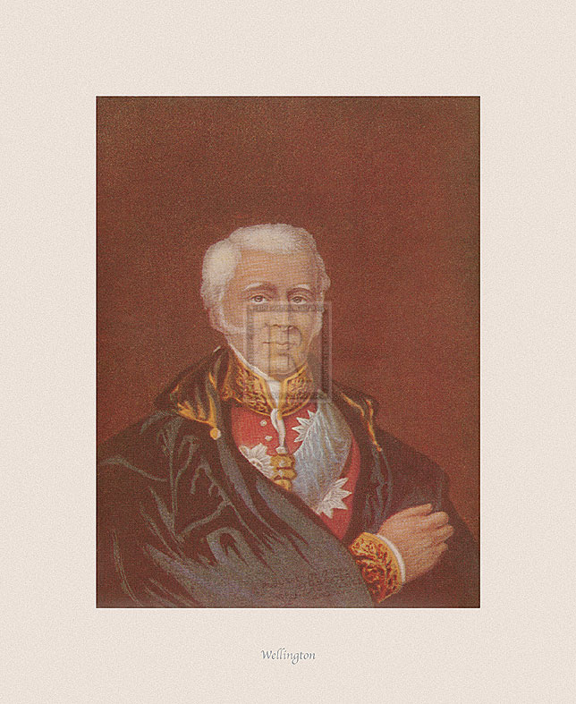 The Victorian Collection Hand Numbered Limited Edition Print on Paper :"Wellington"