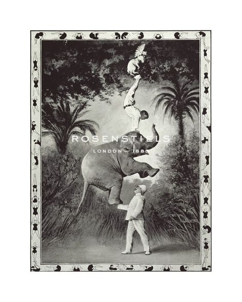 The Vintage Collection Hand Numbered Limited Edition Print on Paper :"Balancing An Elephant!"
