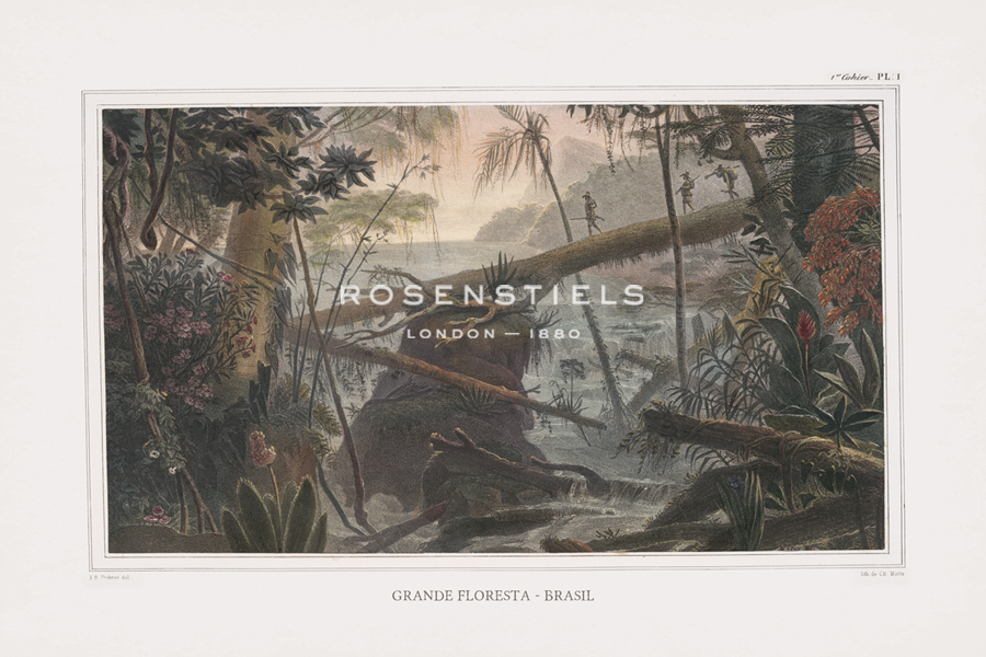 The Vintage Collection Hand Numbered Limited Edition Print on Paper :"Grande Floresta Brasil - Expedition"