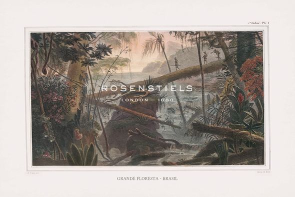 The Vintage Collection Hand Numbered Limited Edition Print on Paper :"Grande Floresta Brasil - Expedition"