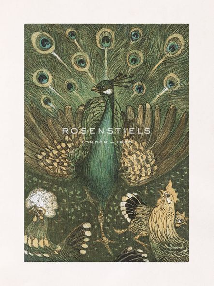 Theo van Hoytema Hand Numbered Limited Edition Print on Paper :"Peacock Embellishment"