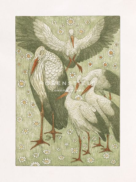 Theo van Hoytema Hand Numbered Limited Edition Print on Paper :"Stork Gather"