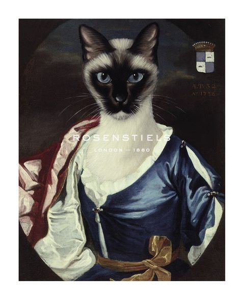 Thierry Poncelet Hand Numbered Limited Edition Print on Paper :"La Pose de la Comtesse"