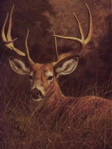 This Signed and Numbered Limited Edition Lithograph: "Peaceful- White-tail Deer"