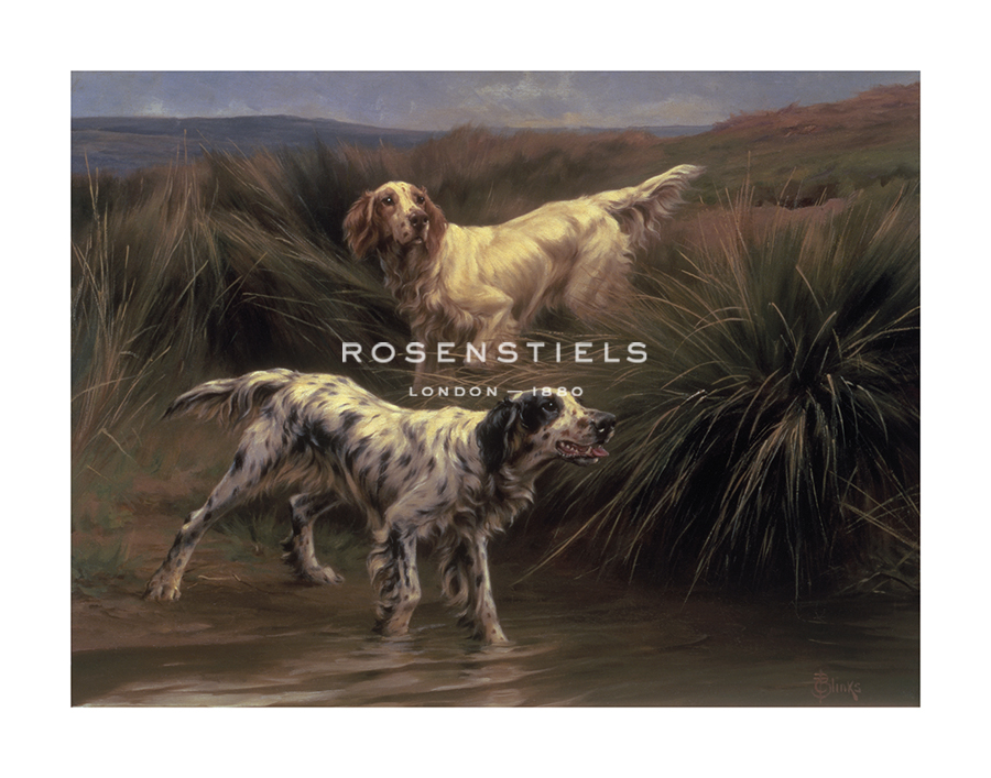 Thomas Blinks Hand Numbered Limited Edition Print on Paper :"English Setters in a Marshland"